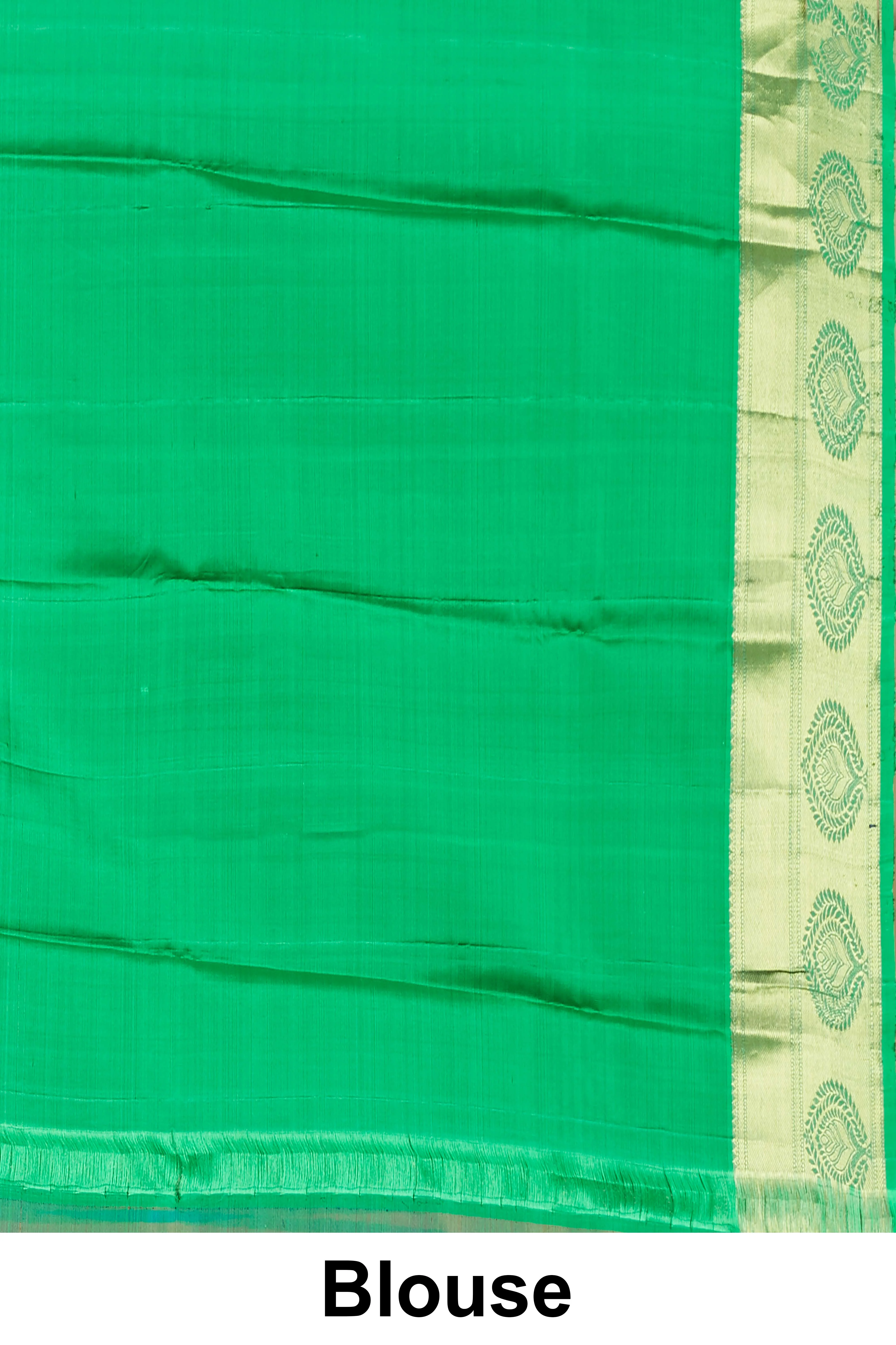 Kanchipuram Pure Silk - Image 5