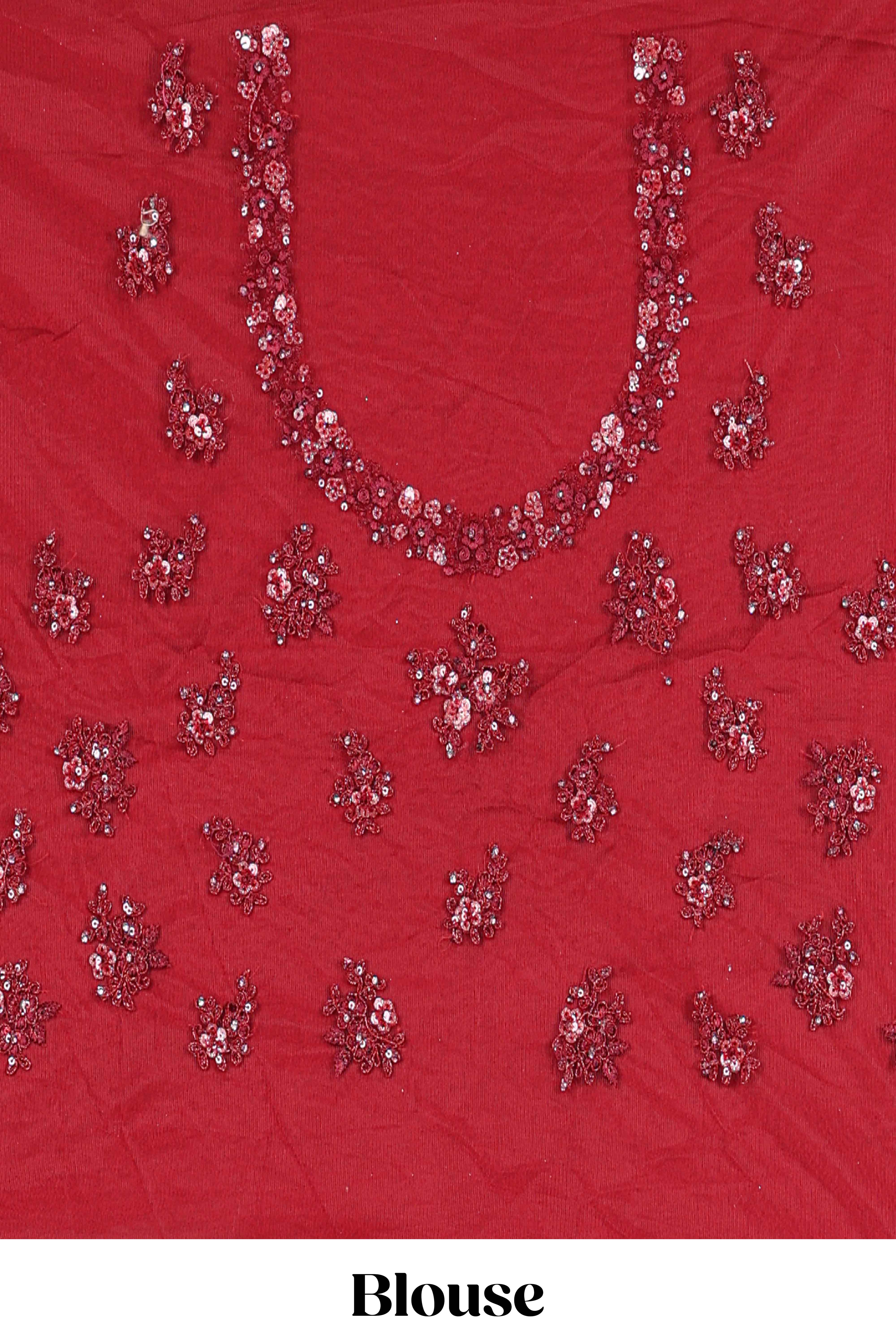 Beautiful net lehenga adorned with intricate embroidery Paired with a matching net shawl perfect for weddings and special occasions - Image 4