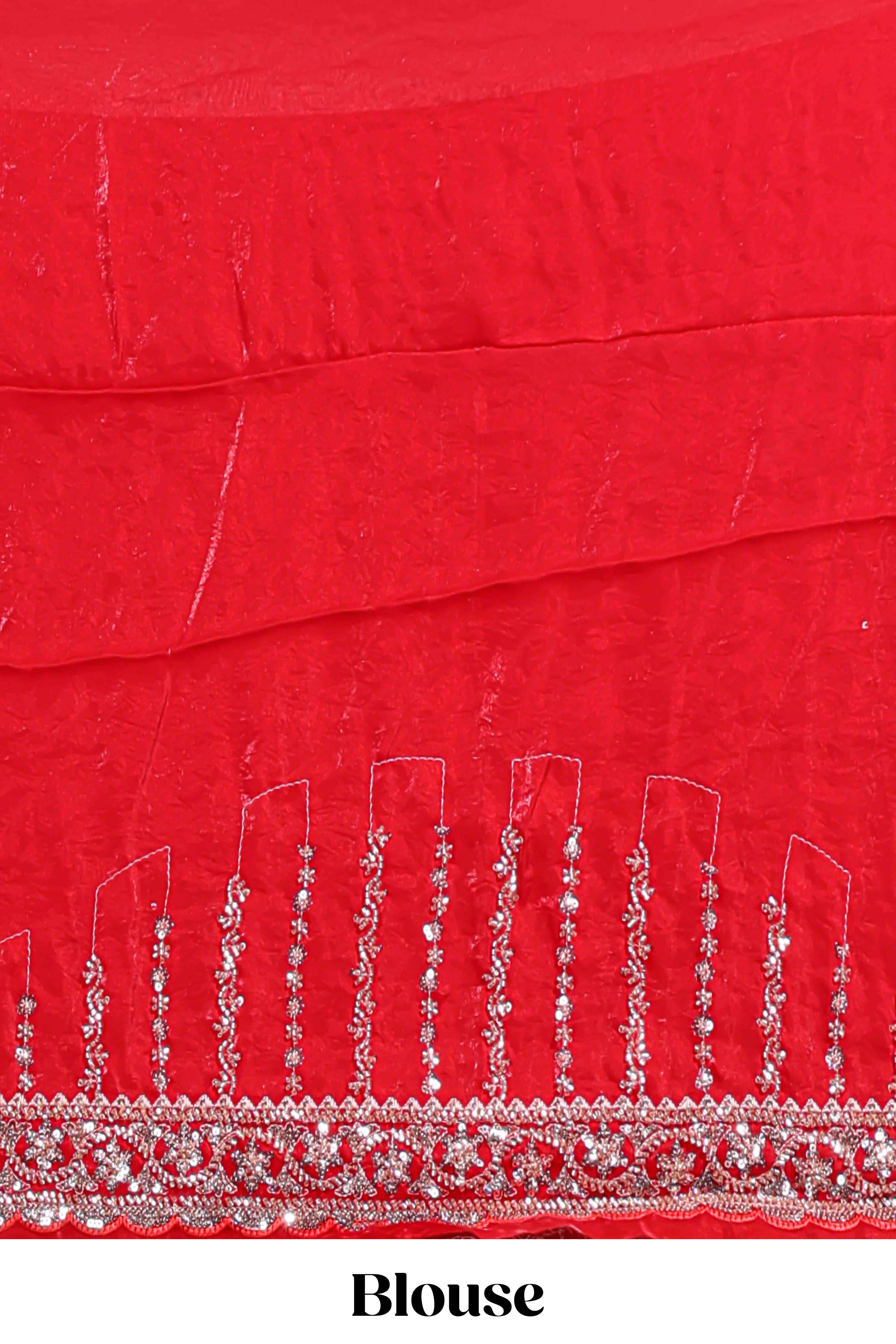 Red saree with silver sequin stripes embellished border and matching designer pallu along with blouse - Image 5
