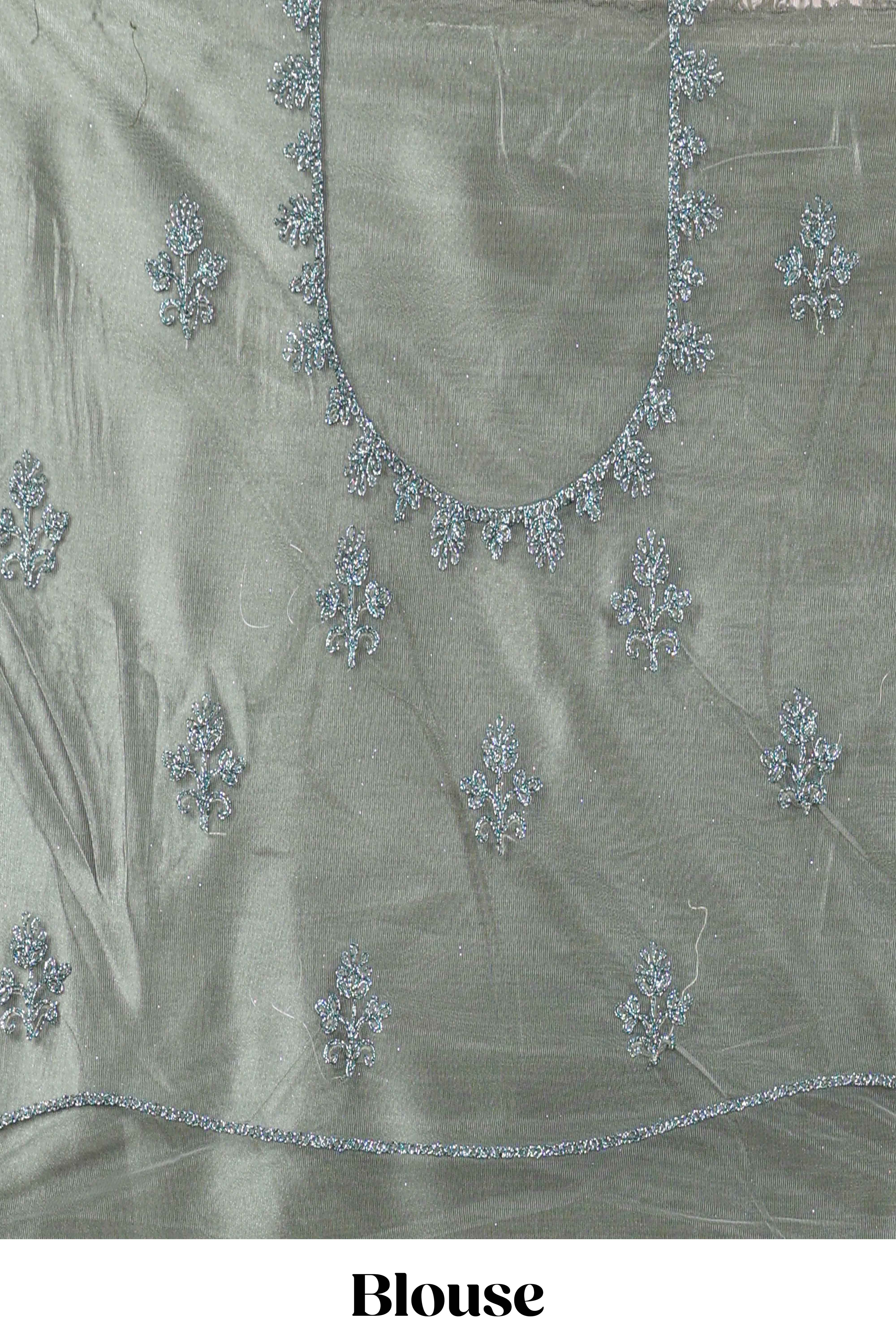 Pastel Sage Green Beautiful net lehenga with intricate embroidery stone work and contrast border paired with a contrast net shawl - Image 4
