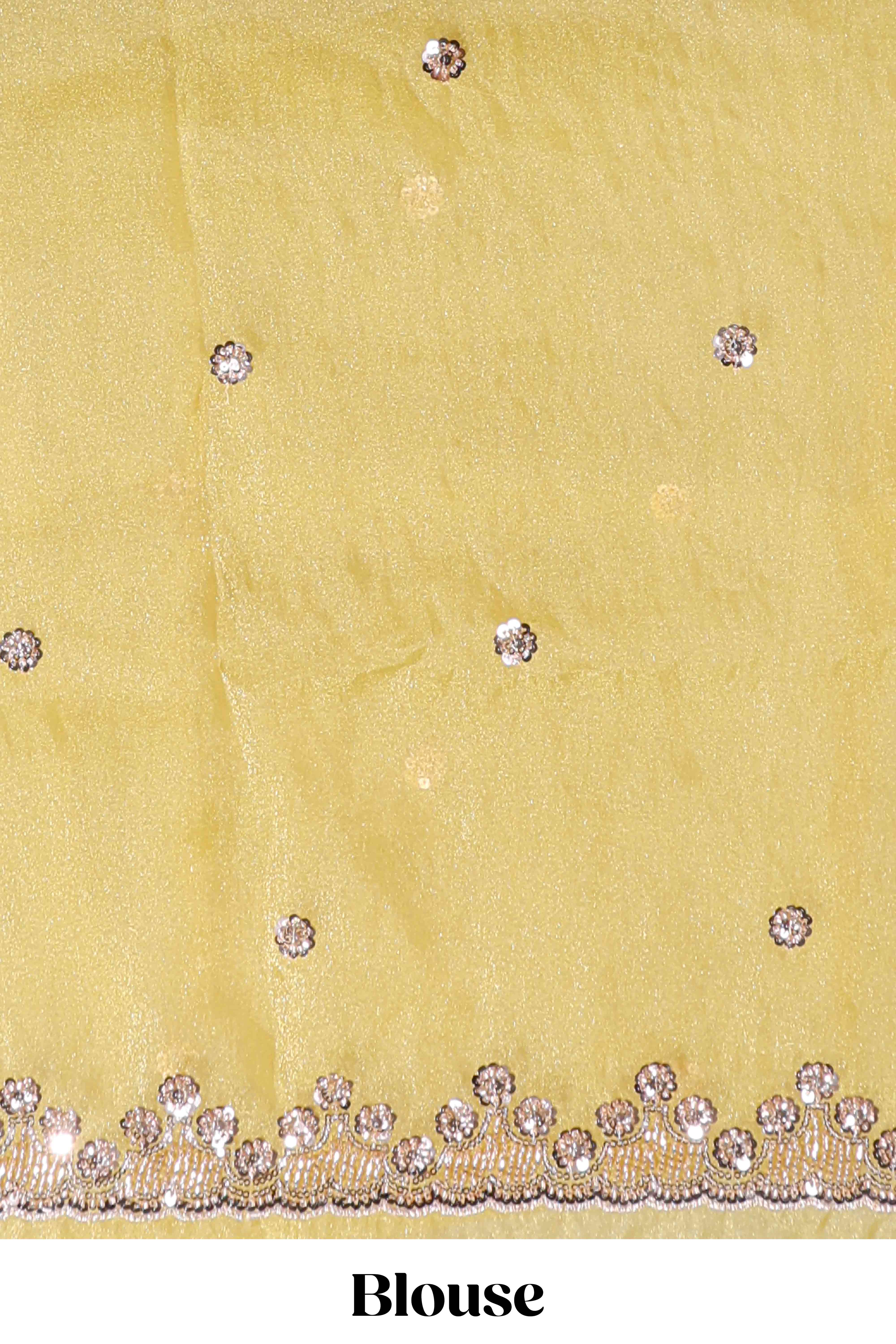 Lemon yellow saree with silver sequin abstract embroidery floral motifs and a shimmering embellished border along with matching blouse - Image 5