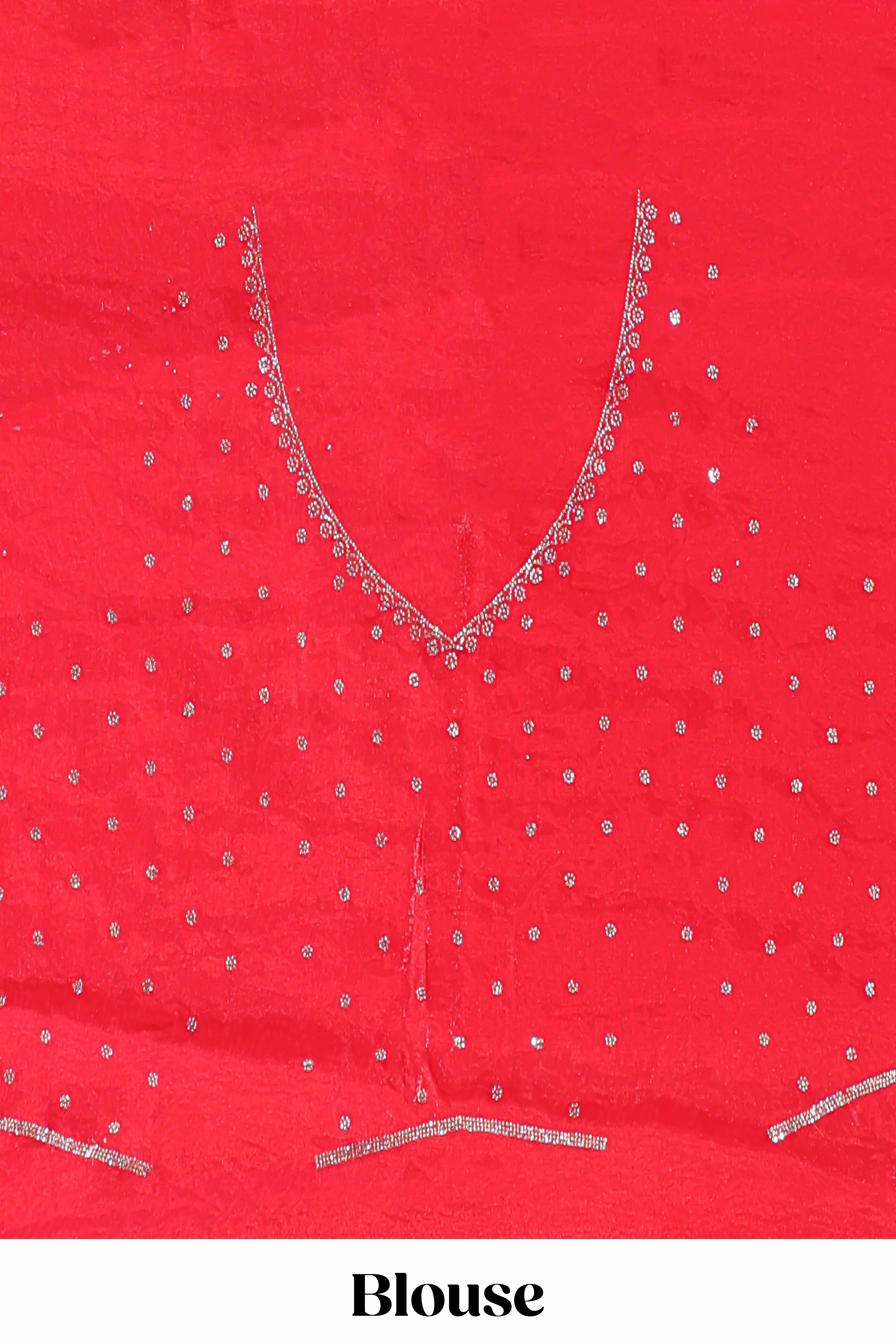 Red saree with silver vertical sequin lines floral motifs embellished border and matching pallu detailing along with matching blouse - Image 5