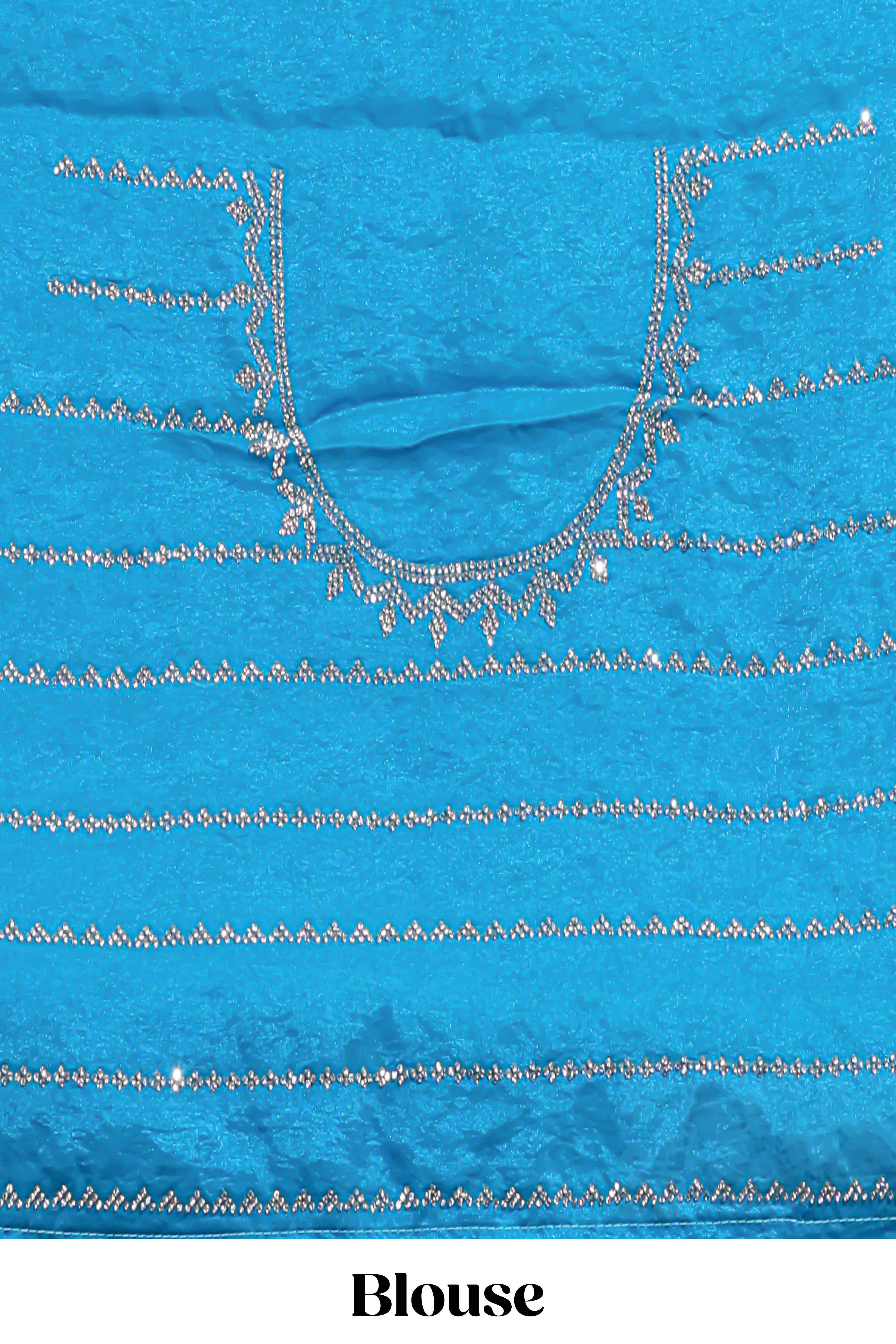 Blue saree with all over scallop pattern embroidery sequin detailing and a delicate embellished border along with matching blouse - Image 5
