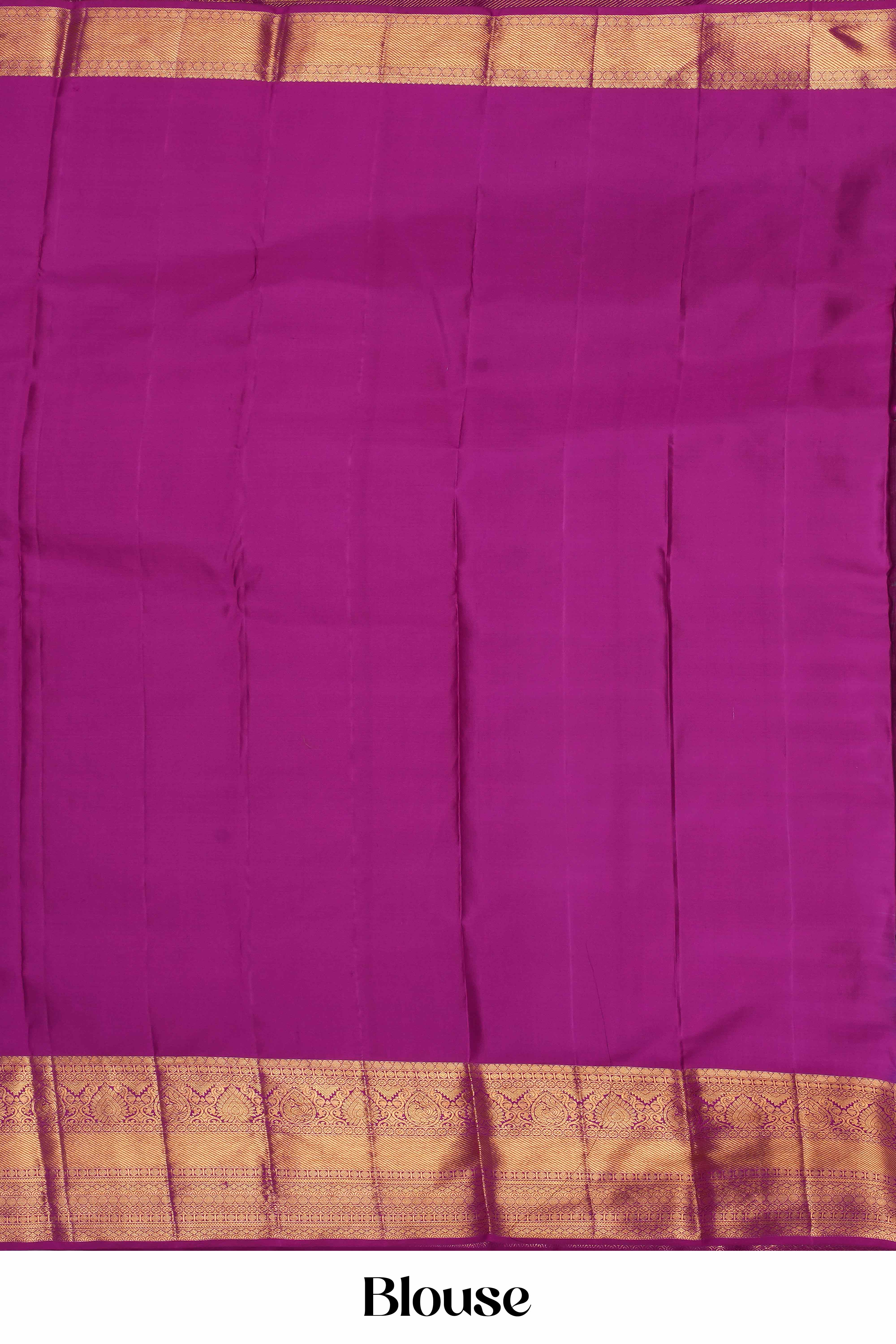 Cream Jacquard Work Swayamvara Pattu Saree with Golden Zari Woven Border & Silver Highlighted Pallu - Image 7